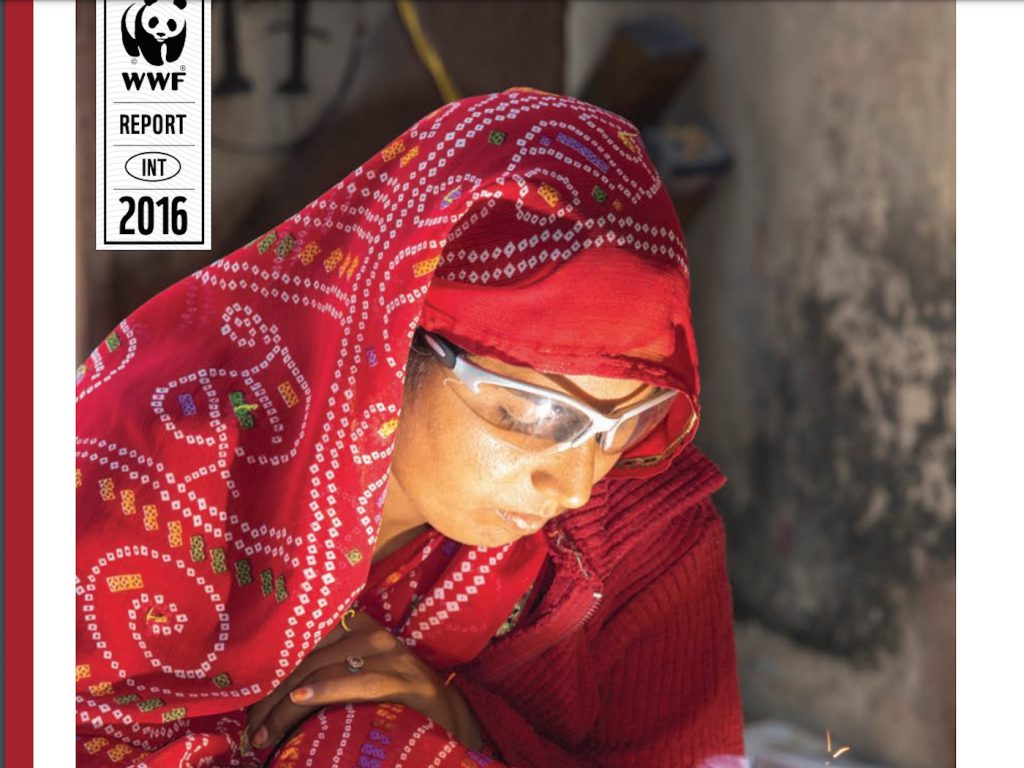 WWF Case Studies on Energy Access Sustainable Livelihoods: Projects for People and Nature