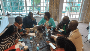 Zimbabwe Multi-Stakeholder Workshop (1)