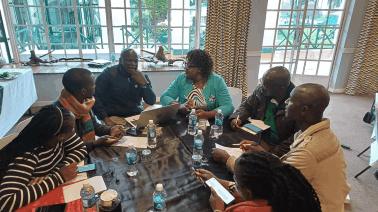 Zimbabwe Multi-Stakeholder Workshop (1)